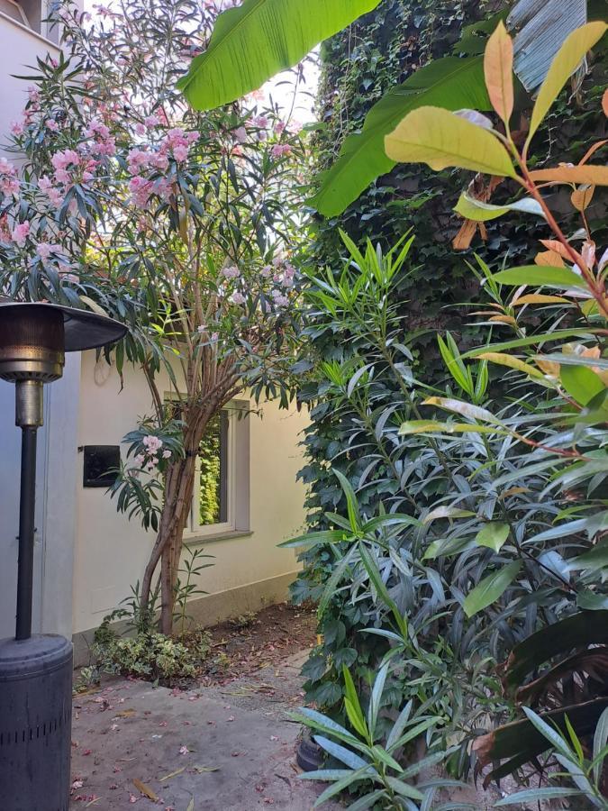 Apartamento Musa Paradisiaca 6, Un Angolo Tropicale A Turín