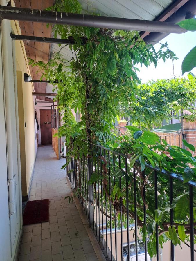 Musa Paradisiaca 6, Un Angolo Tropicale A Apartamento
